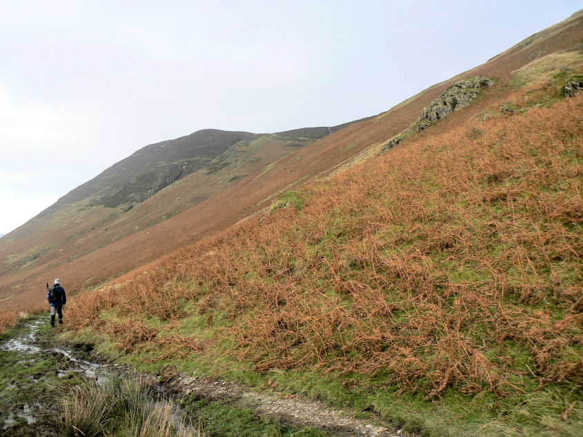 Mosedale Mosedale
